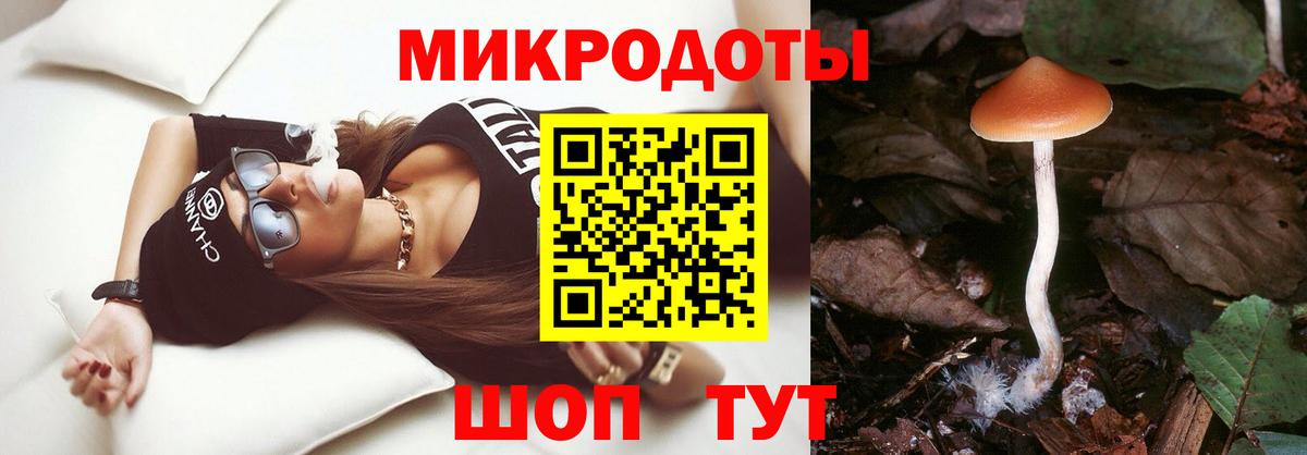 Псилоцибиновые грибы Psilocybe  Вход с VPN  Тихорецк  Псилоцибиновые грибы ЛСД 